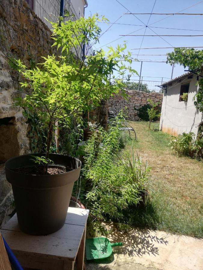 Old Istrian House,Free Parking Apartment Galizana Ngoại thất bức ảnh